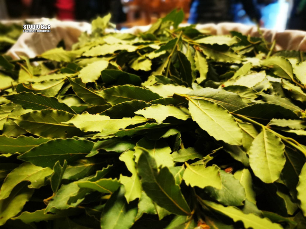 Μετά βαΐων και κλάδων