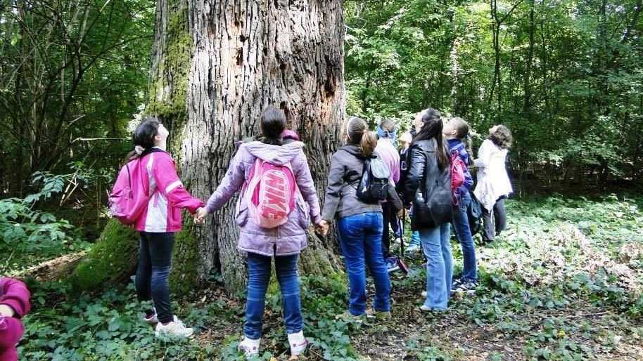 Ziua Europeană a Parcurilor naturale: România are peste 850.000 de hectare, majoritatea împădurite