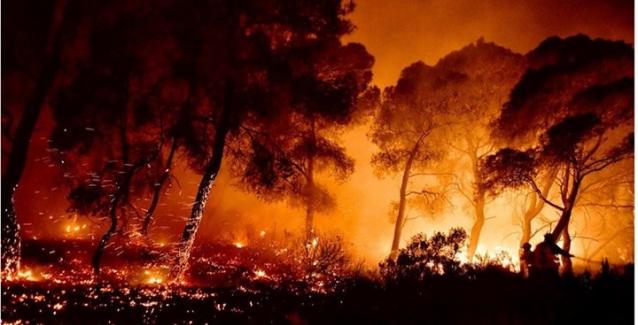 Φωτιά στoν Σχίνο Κορινθίας: Μάχη με τις φλόγες και εκκενώσεις