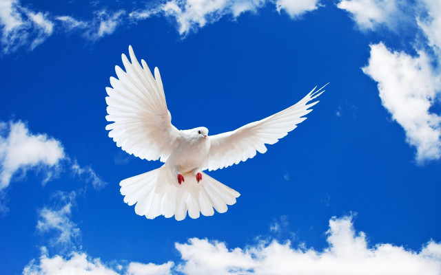 Πώς μπορούμε ν’ αποκτήσουμε το Άγιο Πνεύμα