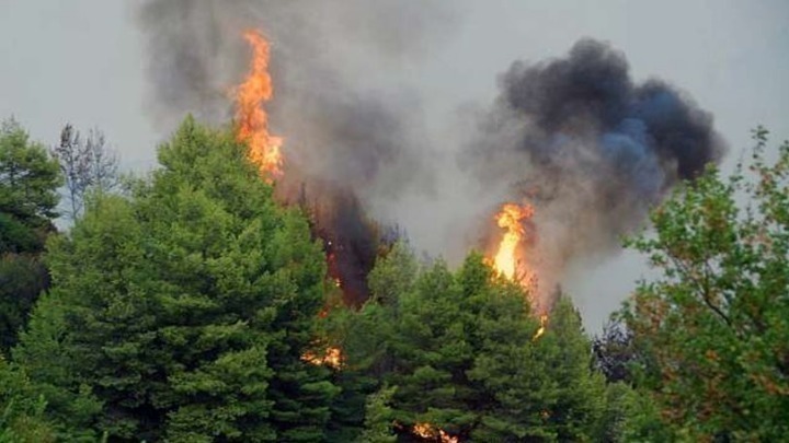 Εύβοια: Κατάσβεση της φωτιάς κοντά στη Μονή Οσίου Δαυίδ