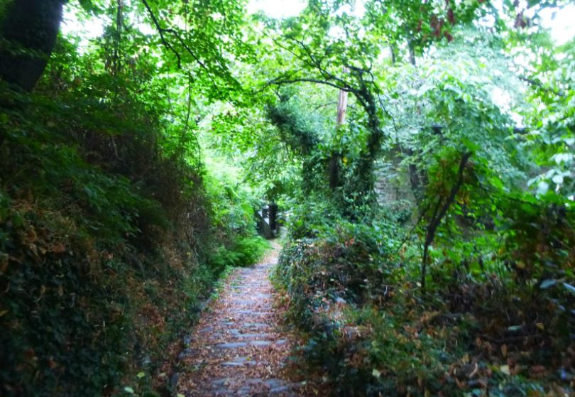 «Μάγνητες & φυσικό περιβάλλον» από τη Μητρόπολη Δημητριάδος