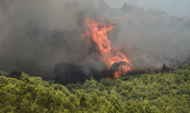 Φωκίδα: Εκκένωση της Ι. Μονής Προφήτη Ηλία – Πυρκαγιά σε αγροτική έκταση
