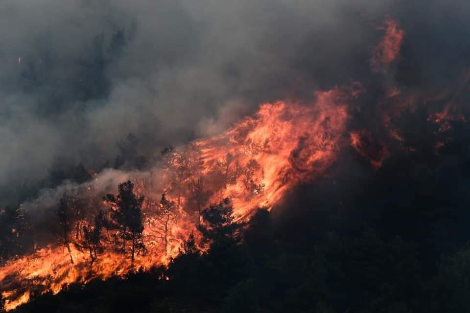 Κύπρος, πυρκαγιά: Περίπου 30 εικόνες απομακρύνθηκαν για να σωθούν
