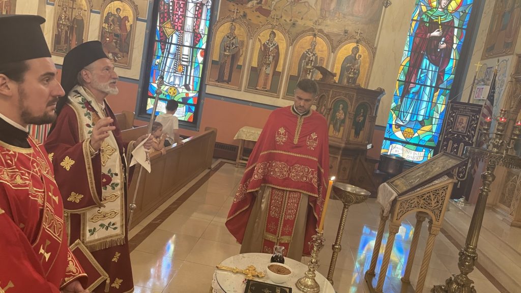 VIDOVDAN CELEBRATION IN NEW YORK CITY