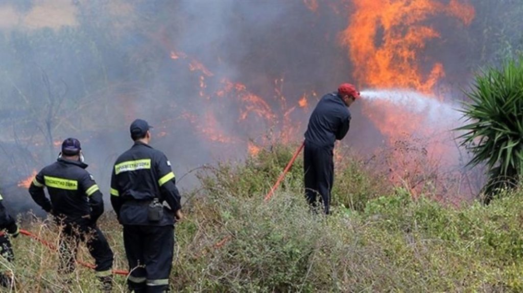 Πυρκαγιά σε πευκοδάσος στη Λευκίμμη Σουφλίου