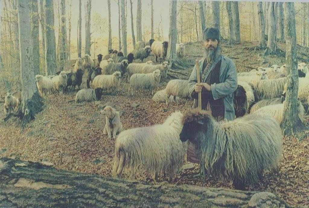 PS Timotei Prahoveanul despre monahul Gherasim Bulearcă: Era un om bun și plin de lumină