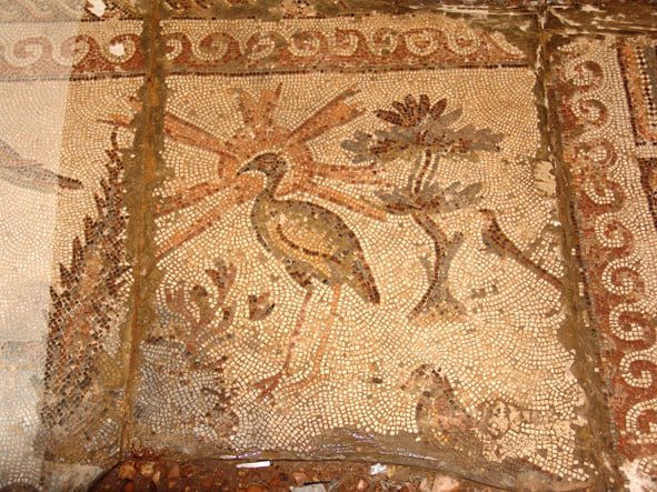 Εγκαίνια Έκθεσης: «Συρία δε, Μουσών εργαστήριον»