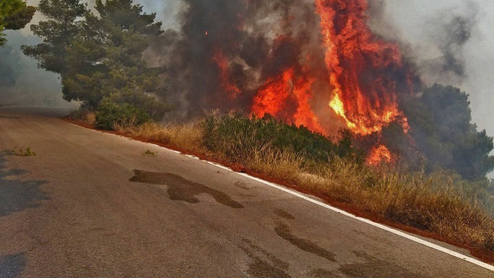 53 δασικές πυρκαγιές εκδηλώθηκαν το τελευταίο 24ωρο