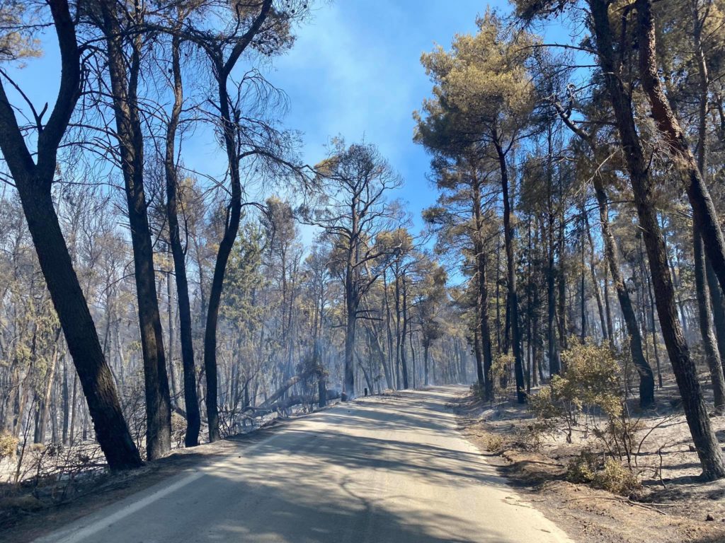 ΟΔΟΙΠΟΡΙΚΟ: Εικόνες του ope.gr στις καμμένες περιοχές