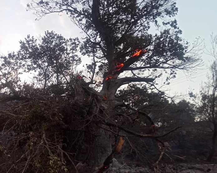 Μαίνεται η πυρκαγιά στην Ανατολική Μάνη