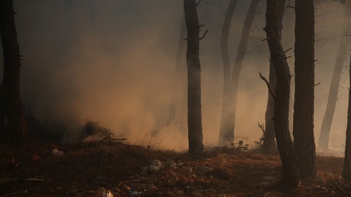 Πύρινα μέτωπα σε Γορτυνία, Μεγαλόπολη και Αχλαδινή