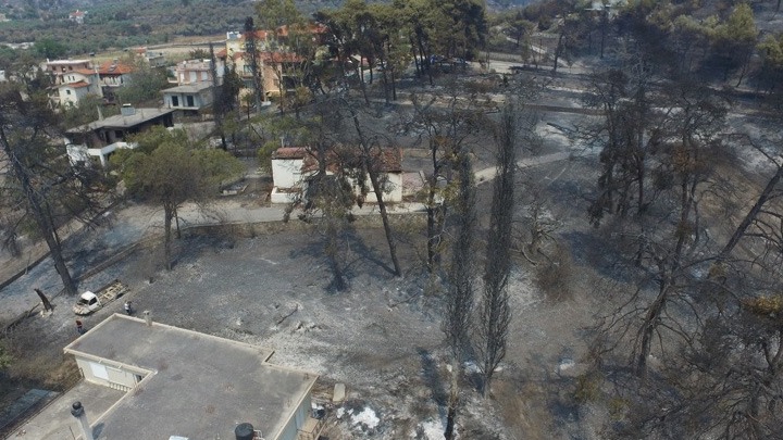 Εύβοια: Σε Γαλατσώνα, Ελληνικά, Αγριοβότανο οι φλόγες – Εκκενώνονται και άλλα χωριά