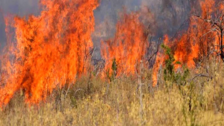 Ζάκυνθος: Πυρκαγιά στο χωριό Αργάσι