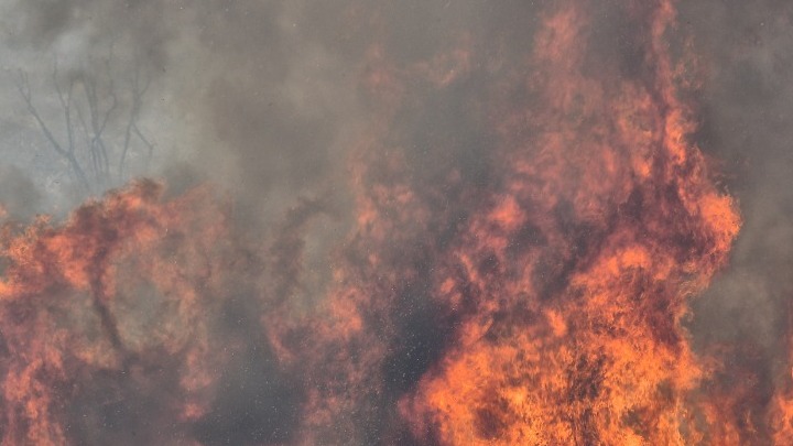 Πύργος: Μεγάλο πύρινο μέτωπο στην περιοχή Νεμούτα