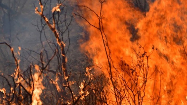 Φωτιά στη Γορτυνία: Αρκετά δύσκολη παραμένει η κατάσταση