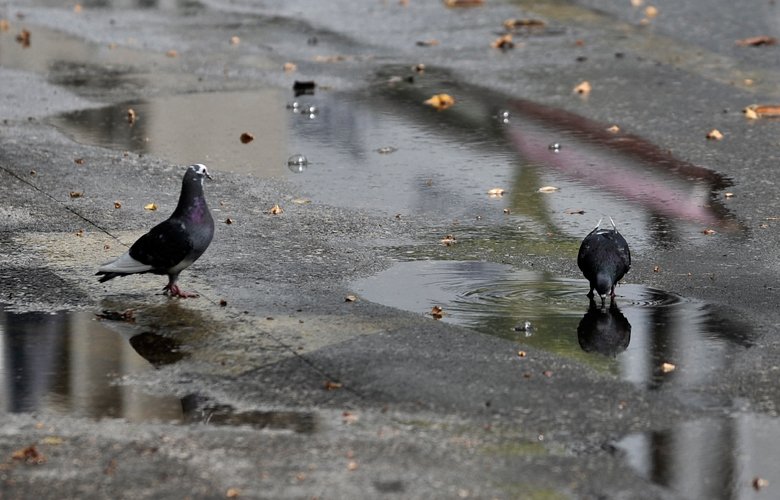 Έρχονται τα πρωτοβρόχια