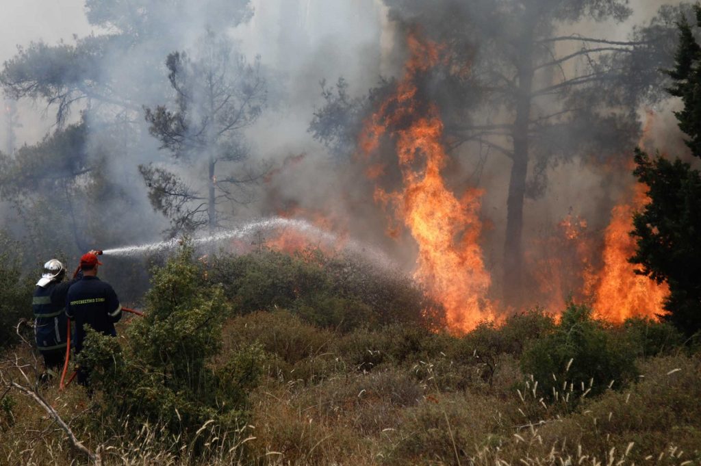 Συναγερμός στην πυροσβεστική για φωτιά στο Άγιον Όρος