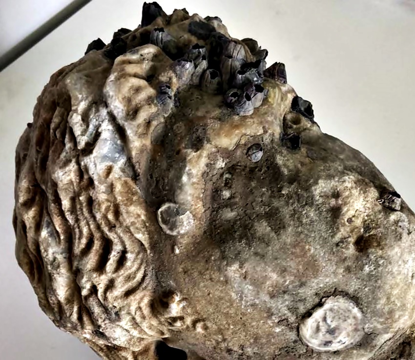 Πρέβεζα: Κεφαλή αγάλματος ανασύρθηκε από την θαλάσσα