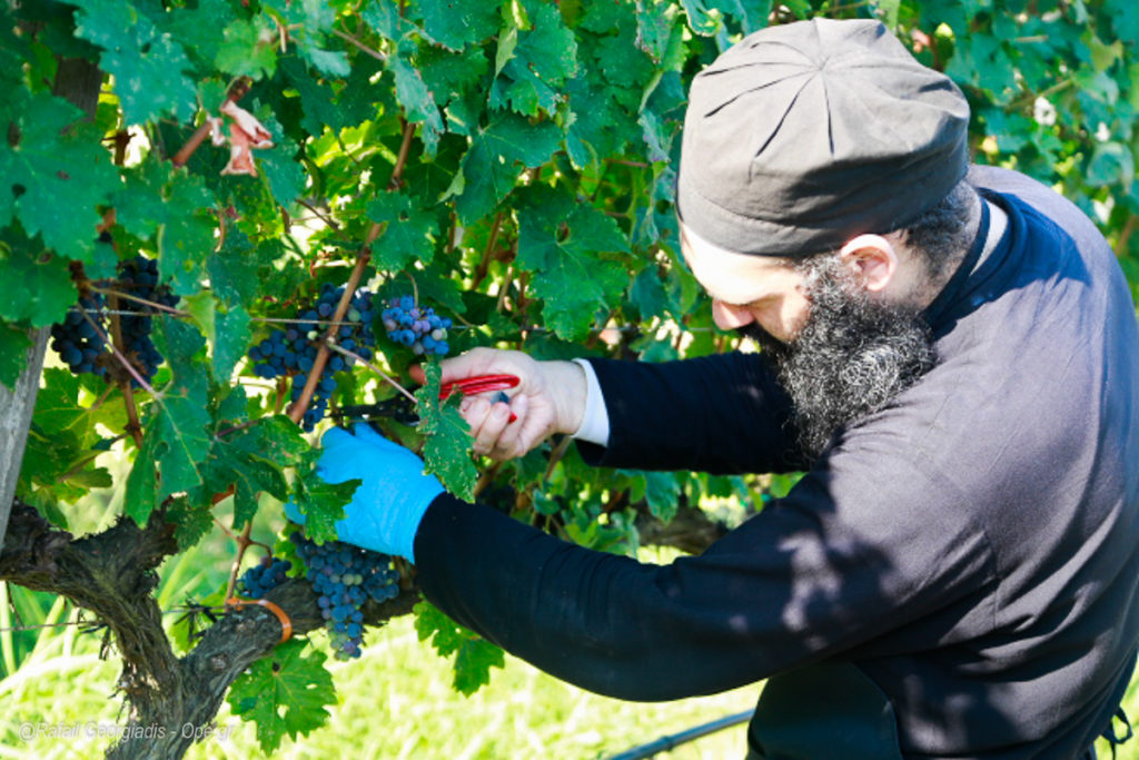 Υγεία και φύση