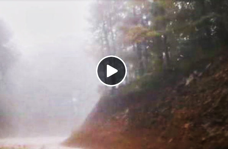 Αγιορείτικη ομίχλη στους δρόμους του Περιβολιού Της (ΒΙΝΤΕΟ)