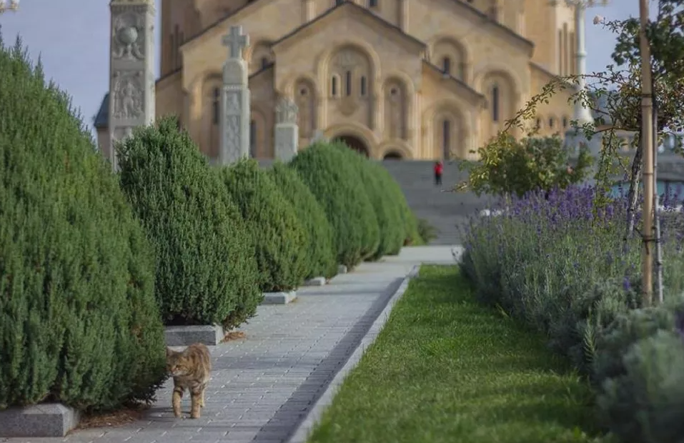 საეკლესიო კალენდარი: 22 ოქტომბერი