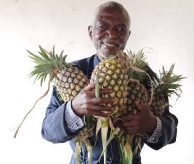 Ανανάδες στην γιορτή του π. Θωμά