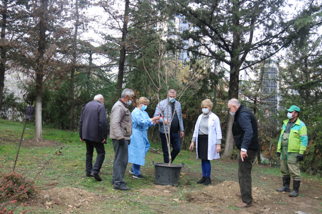 საპატრიარქოს წმ. იოაკიმე და ანას სახელობის სამედიცინო ცენტრის ეზოში გამწვანების ღონისძიება განხორციელდა