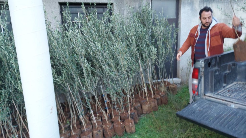 Ελιές στους πυρόπληκτους από τη Μητρόπολη Γόρτυνος