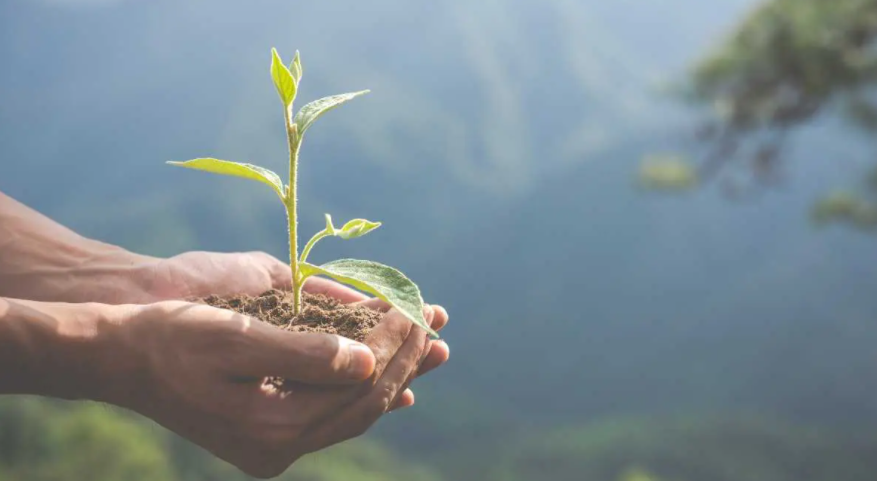 Romanian Parishes in Austria take steps to protect the environment