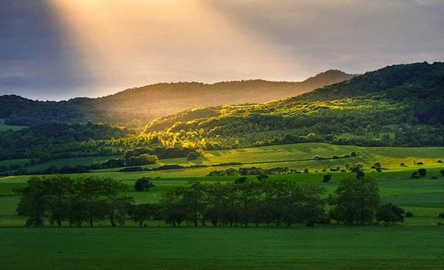 Ξεχνάει και το σπίτι του