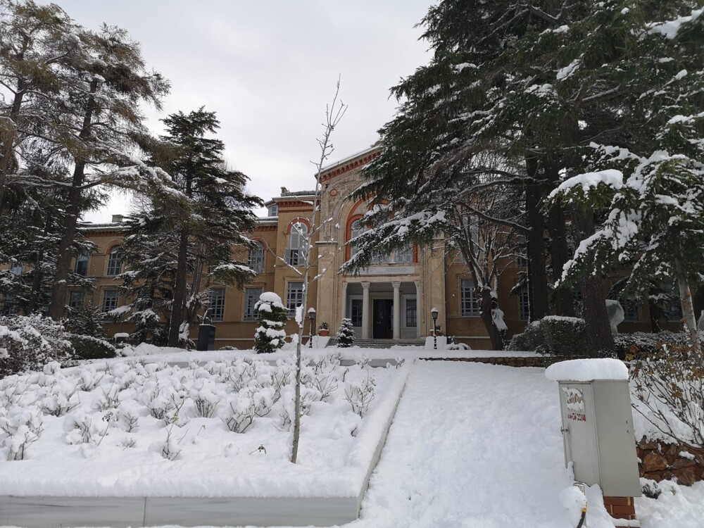 Свети Григорий Богослов: Божествена Литургия в Богословската Школа в Халки | СНИМКИ