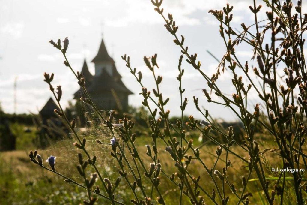 Pilot project: Eco-initiatives in the parishes of Romania and the Republic of Moldova