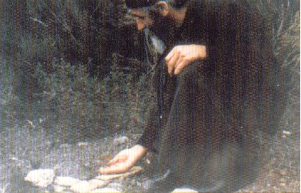 Η ταπεινότητα γιάτρεψε το γατάκι…