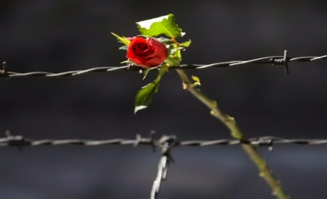 Σε κάθε άκρη της γης