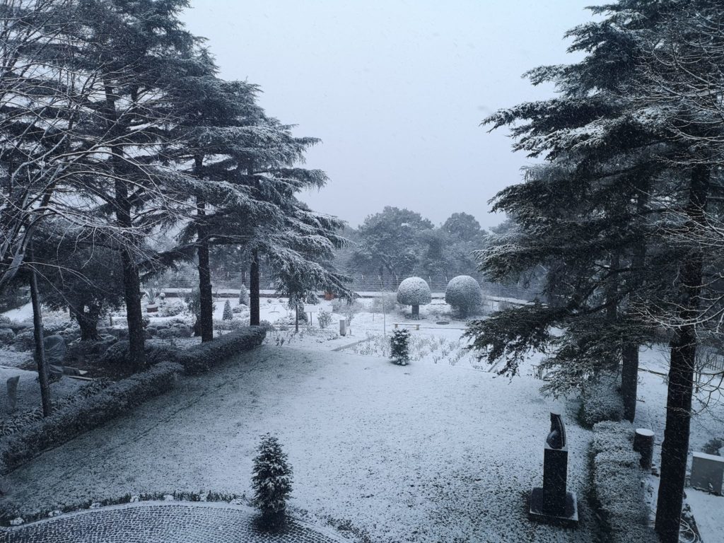 Με «λευκό πέπλο» ντύθηκε η Θεολογική Σχολή Χάλκης