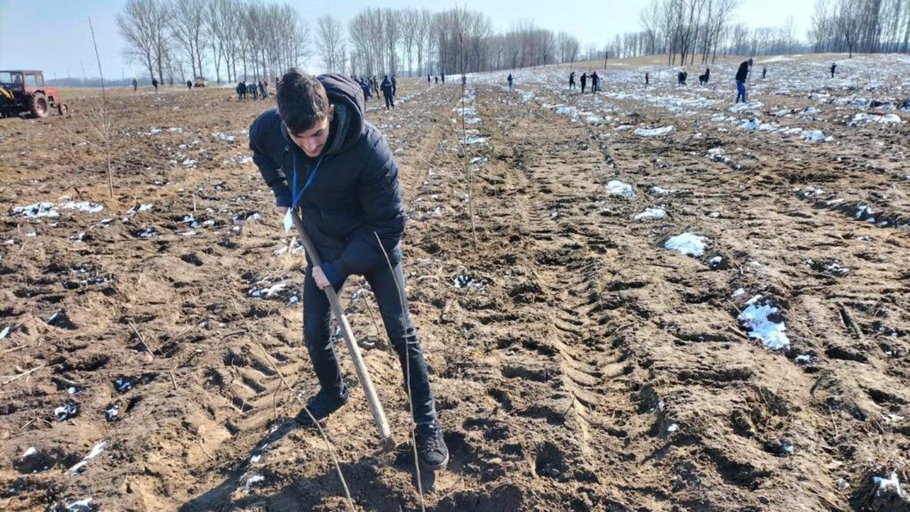 Tinerii pro-viață din eparhia Craiovei au plantat copaci în memoria copiilor care nu au apucat să se nască