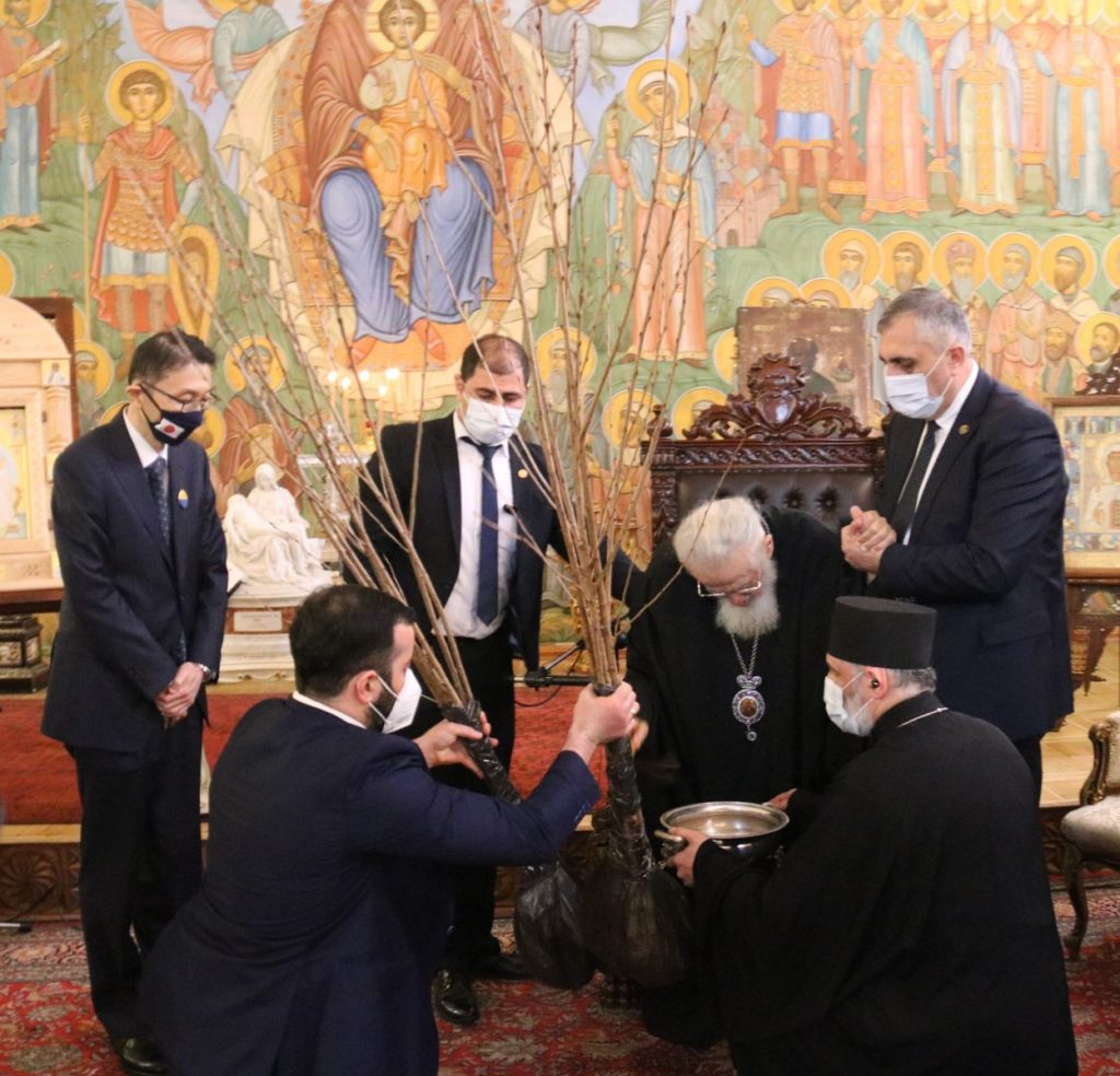 Τιφλίδα: Επισφράγισαν τις καλές σχέσεις με τη δενδροφύτευση Σάκουρα