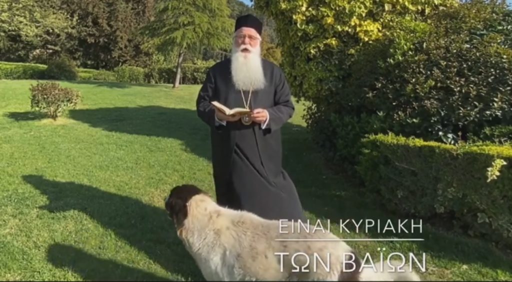 Ο Δημητριάδος Ιγνάτιος σε 60”: Είναι Κυριακή των Βαΐων