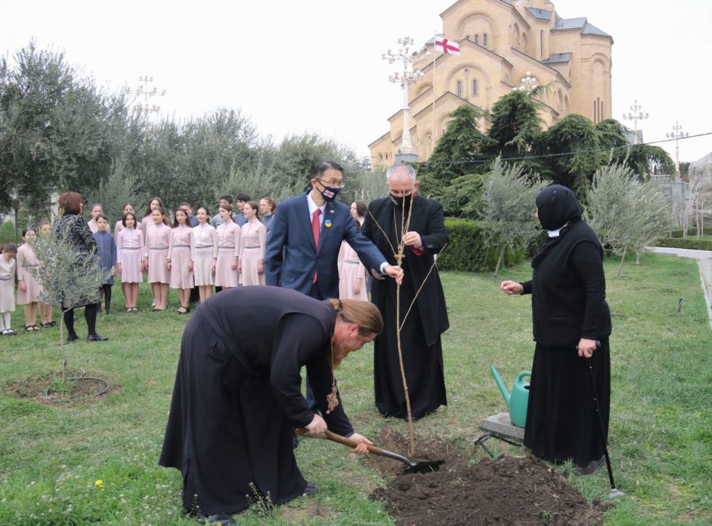 Φύτεψαν Σάκουρα έξω από τον Καθεδρικό Ναό στην Τιφλίδα