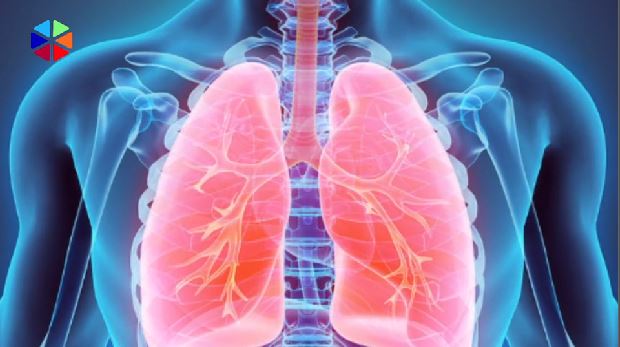 Αφιέρωμα στην pemptousia.tv με αφορμή την Παγκόσμια Ημέρα κατά του καπνίσματος