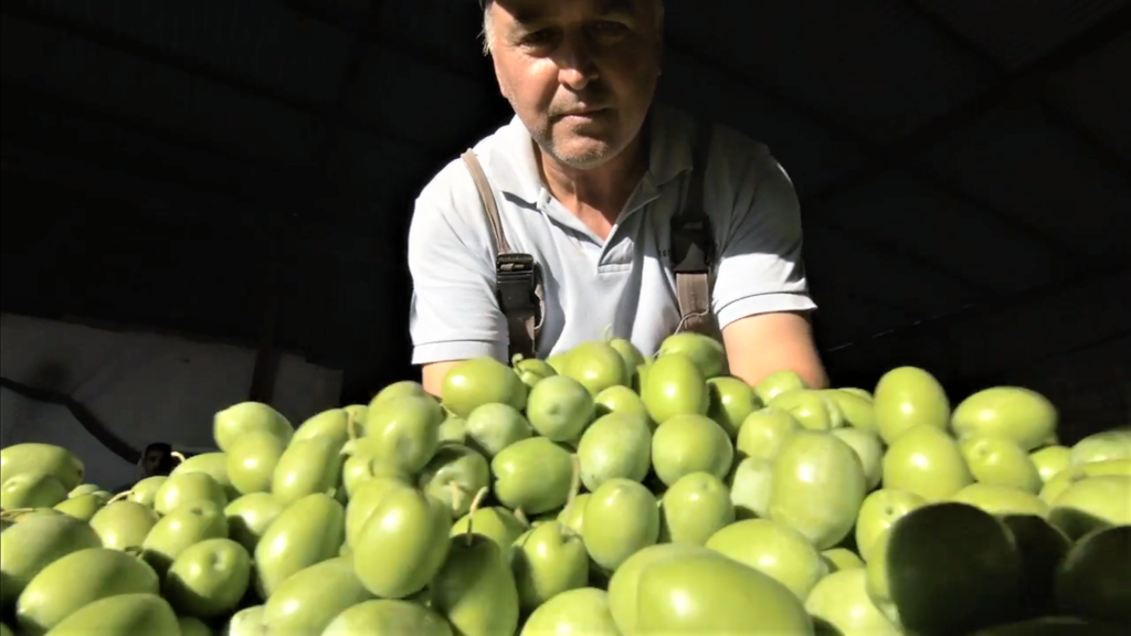 Ενίσχυση επιχειρηματικότητας μικρών και πολύ μικρών επιχειρήσεων από την «ΑΠΟΣΤΟΛΗ»