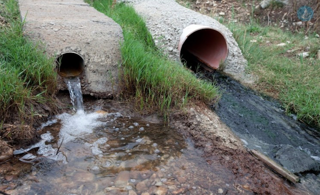 Ανάπτυξη και εξέλιξη