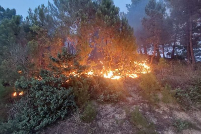 Αλβανία: Πυρκαγιά απειλεί ελληνικά μειονοτικά χωριά