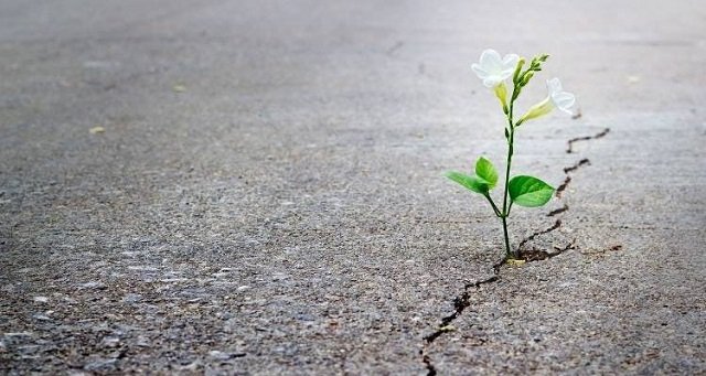 Από φιλανθρωπία