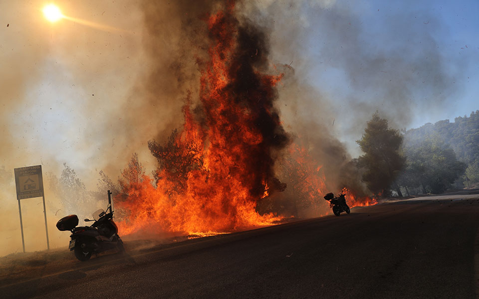 Πυρκαγιά στα Μέγαρα – Μήνυμα του 112 για προληπτική απομάκρυνση πολιτών από τον οικισμό Ζάχουλη