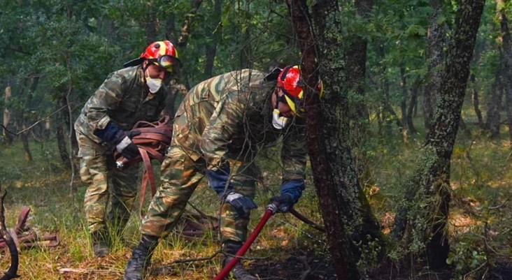 Μάχη με τις φλόγες για 6η ημέρα στο Εθνικό Πάρκο της Δαδιάς – Μητροπολίτης Διδυμότειχου: «Εγωιστική η διαχείριση του περιβάλλοντος»