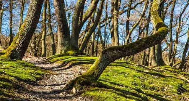 Είναι όλα αυτά