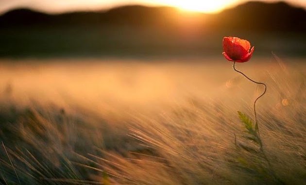 Ποιo είναι σπουδαιότερο;