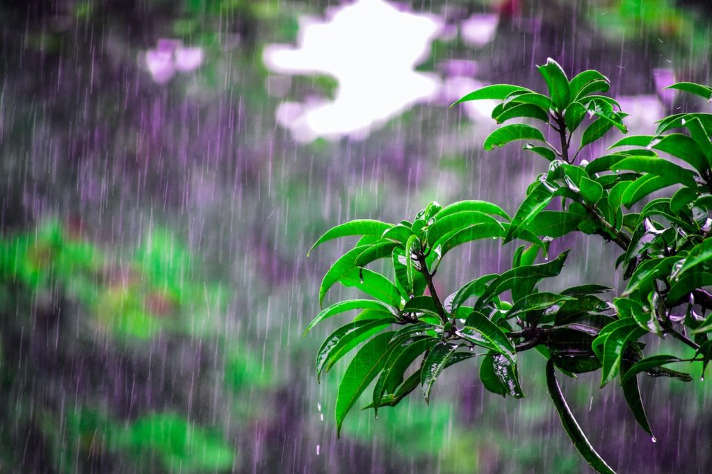 Καιρός: Βροχές και σποραδικές καταιγίδες την Τετάρτη